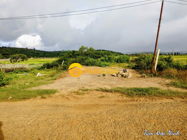 Bán đất 11mx27m mặt tiền đường nhựa vào kdl thác bảo đại,xã tà hine,lâm đồng 890 triệu