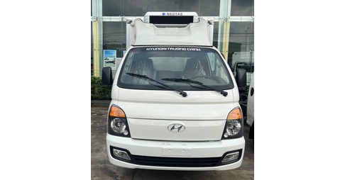 Hyundai Porter 1.5T thùng đông lạnh